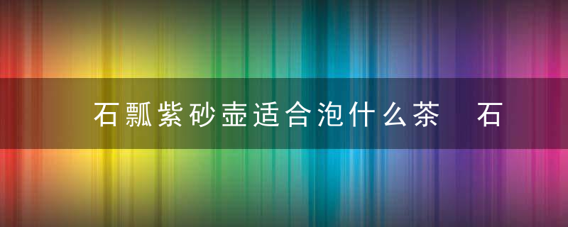 石瓢紫砂壶适合泡什么茶 石瓢紫砂壶泡哪种茶好呢